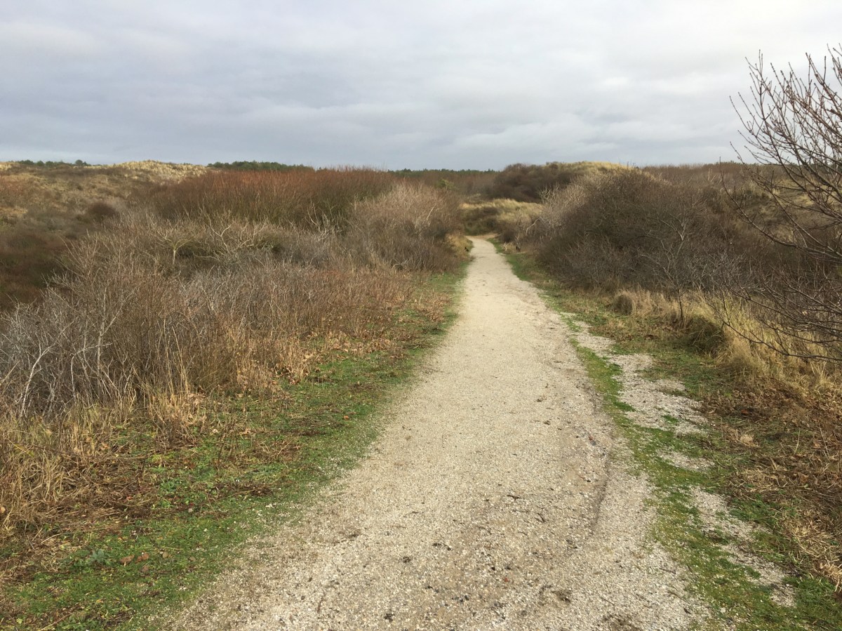Noordwijk Dunes and&nbsp;Beach
