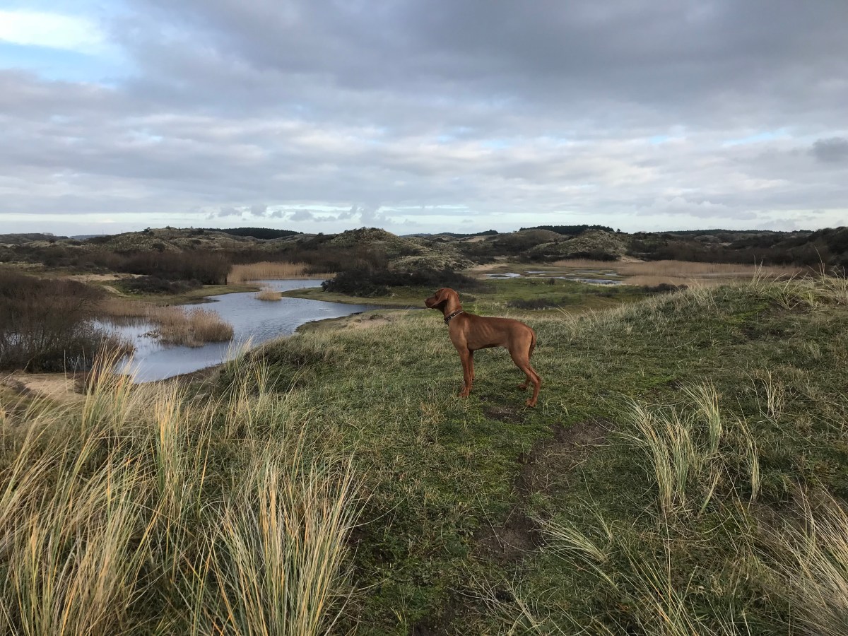 Dunes – Bloemendaal/Zandvoort Circuit
