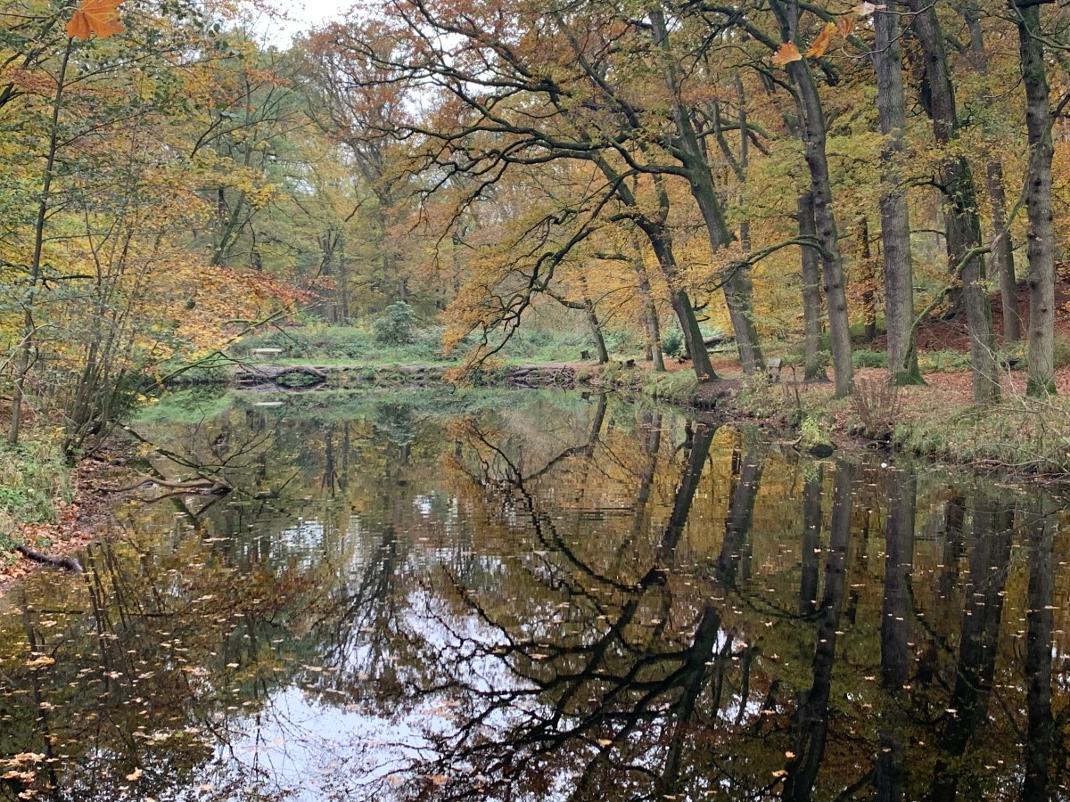 Groenendaal, Heemstede