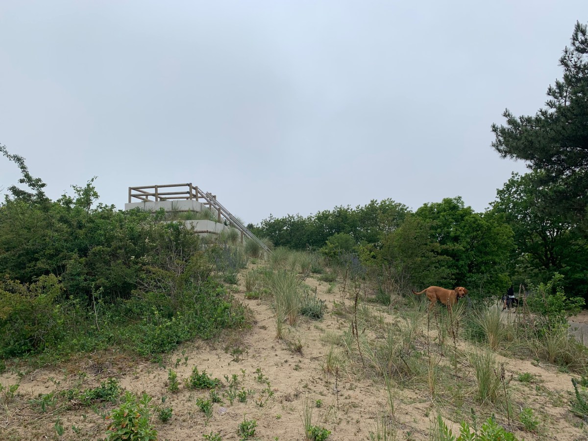 Krantje Lek & Dunes,&nbsp;Haarlem