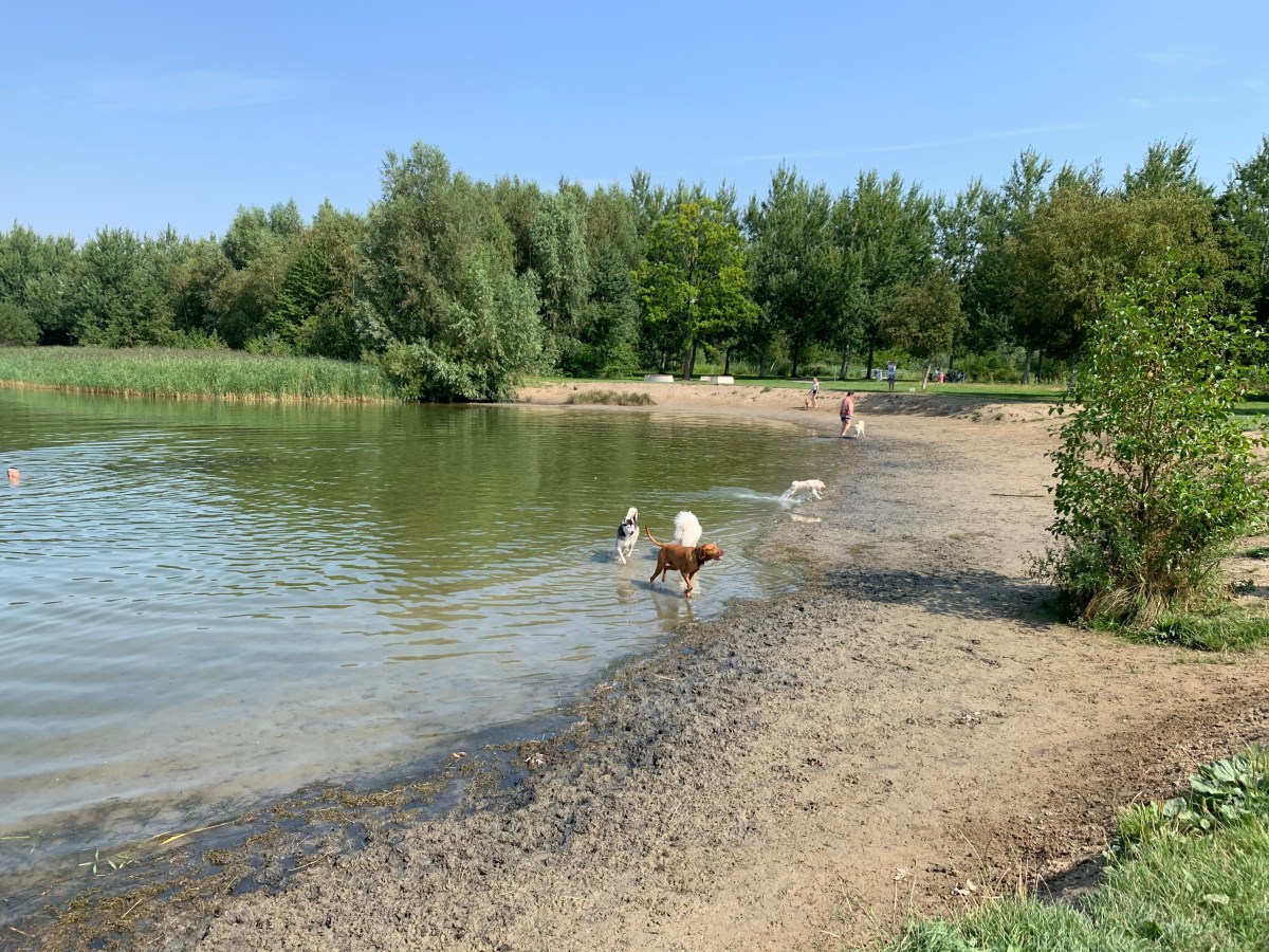 Groene Weelde, Vijvhuizen