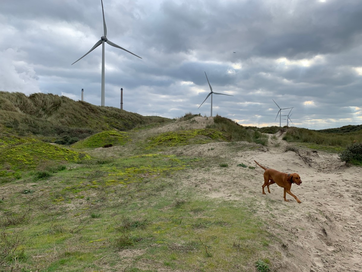 Wijk aan Zee / Velsen&nbsp;Noord