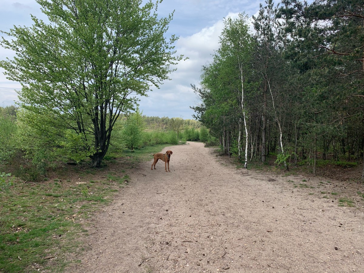 ‘t Leesten, Ugchelen