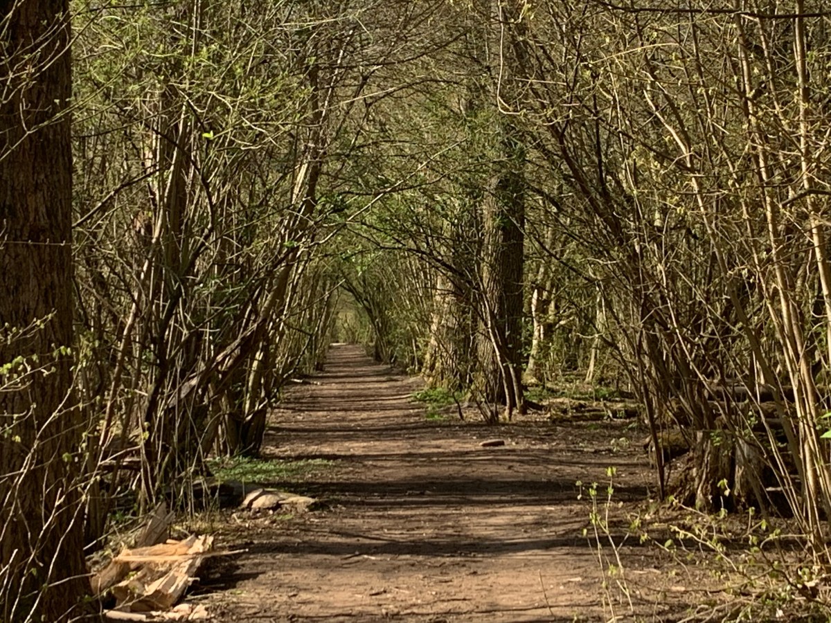 Purmerbos, Purmerend