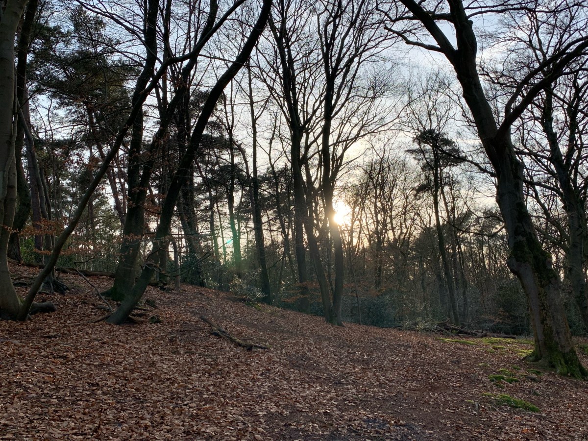 Nimmerdor/Zandbergen, Amersfoort