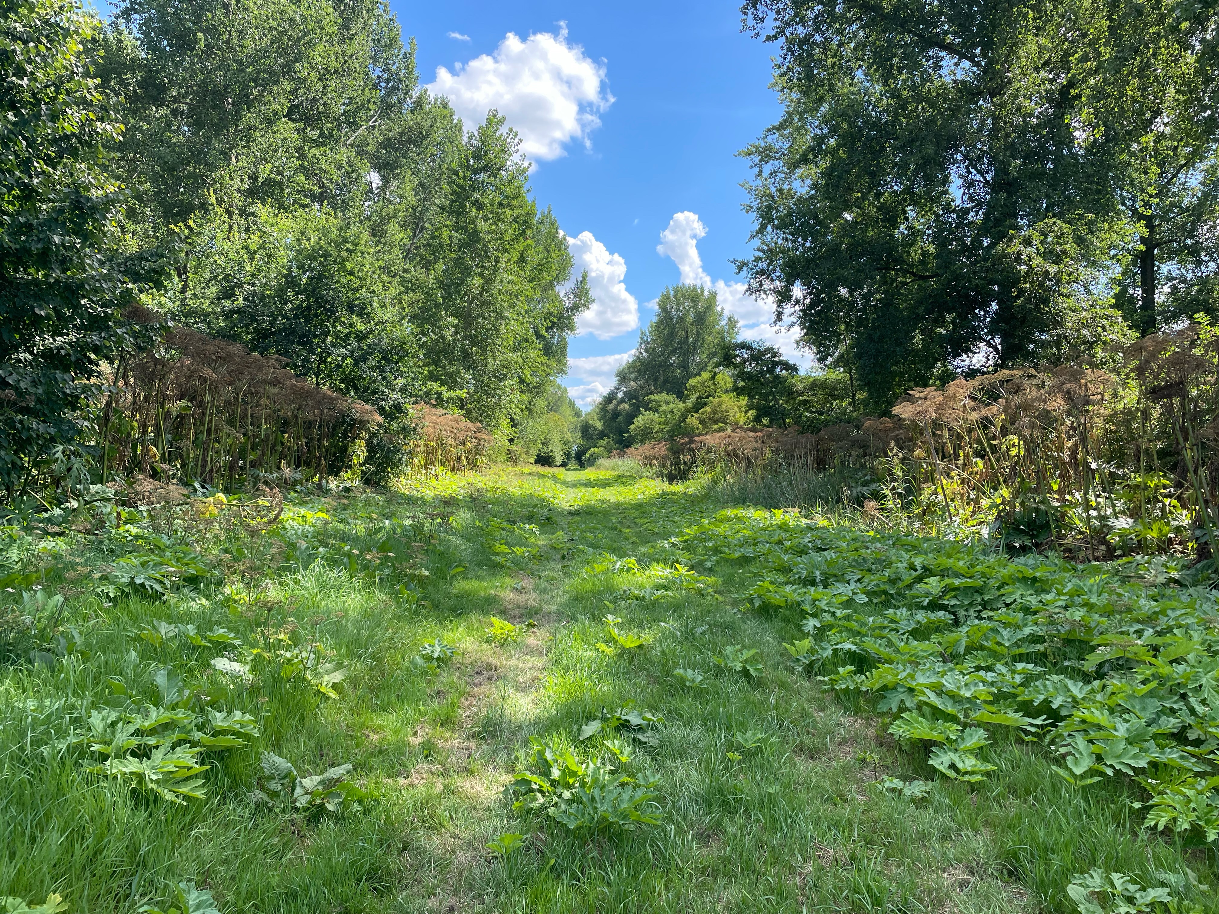 Hulkensteijnsebos, Zeewolde