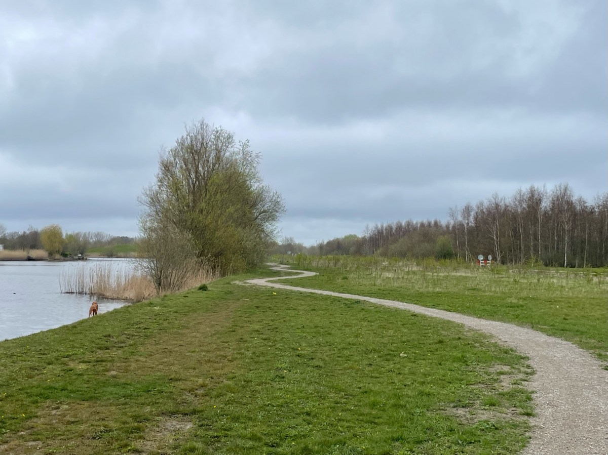 De Boseilanden, Zwaanshoek