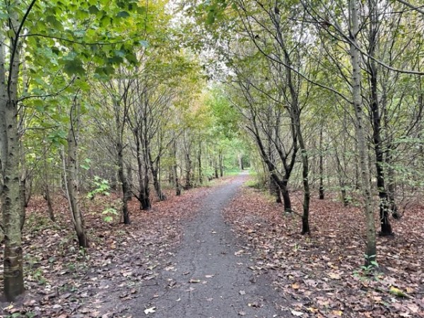 Park 21 – Extended version,&nbsp;Zwaanshoek