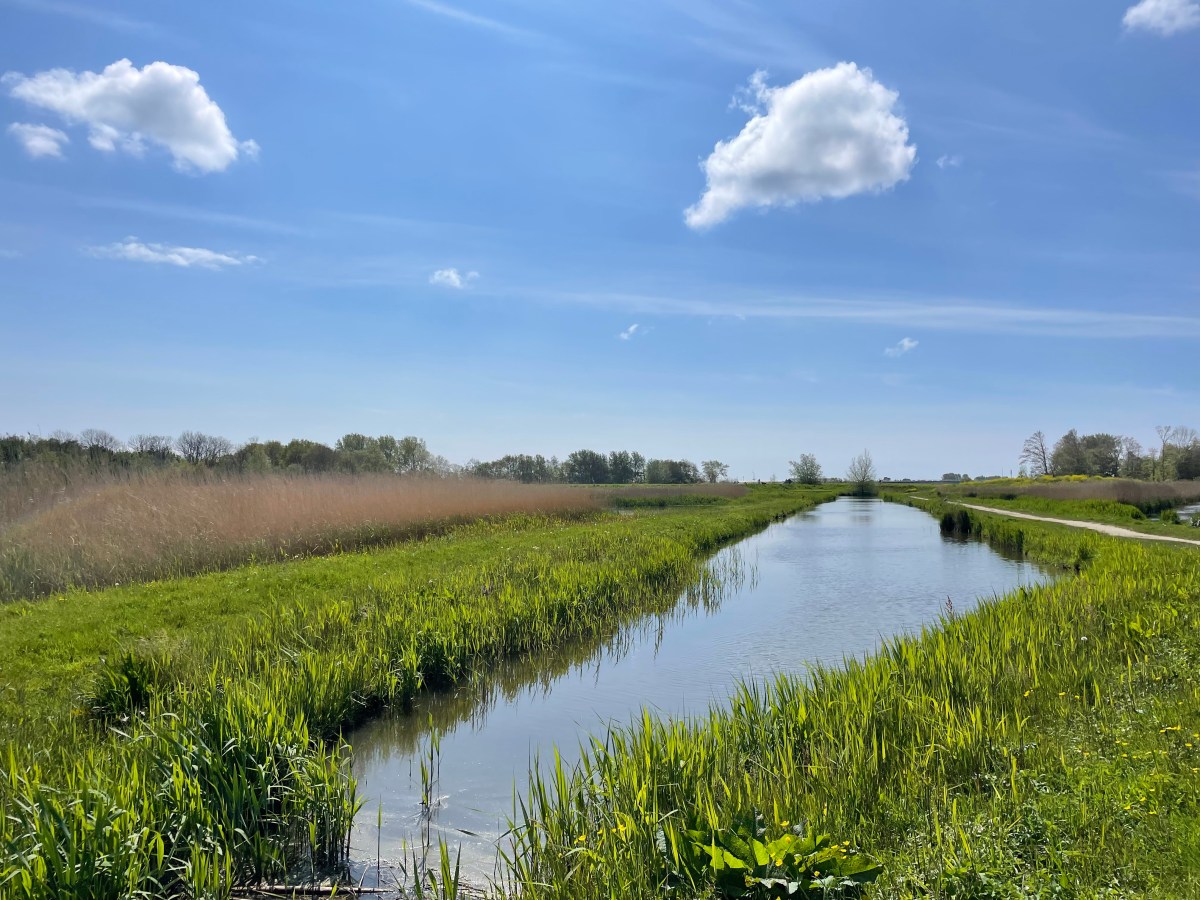 Vlasgat, Koedijk (Geestmerambacht)