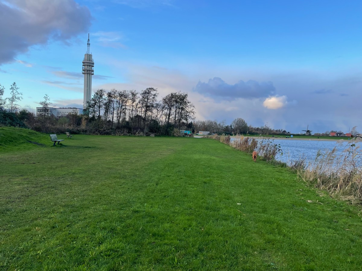 Veerplas, Waarderpolder (October –&nbsp;April)