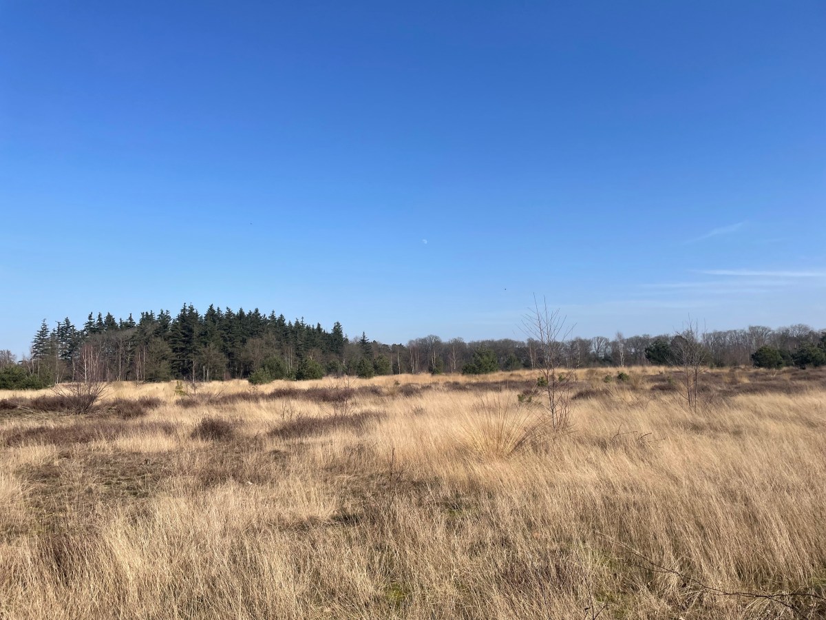 Strabrechste Heide, Heeze