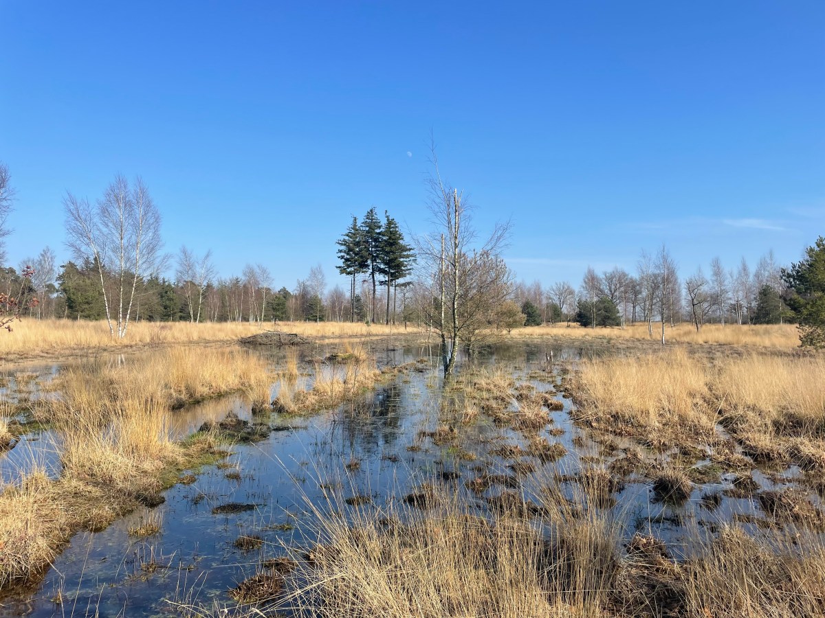 Strabrechste Heide, Heeze