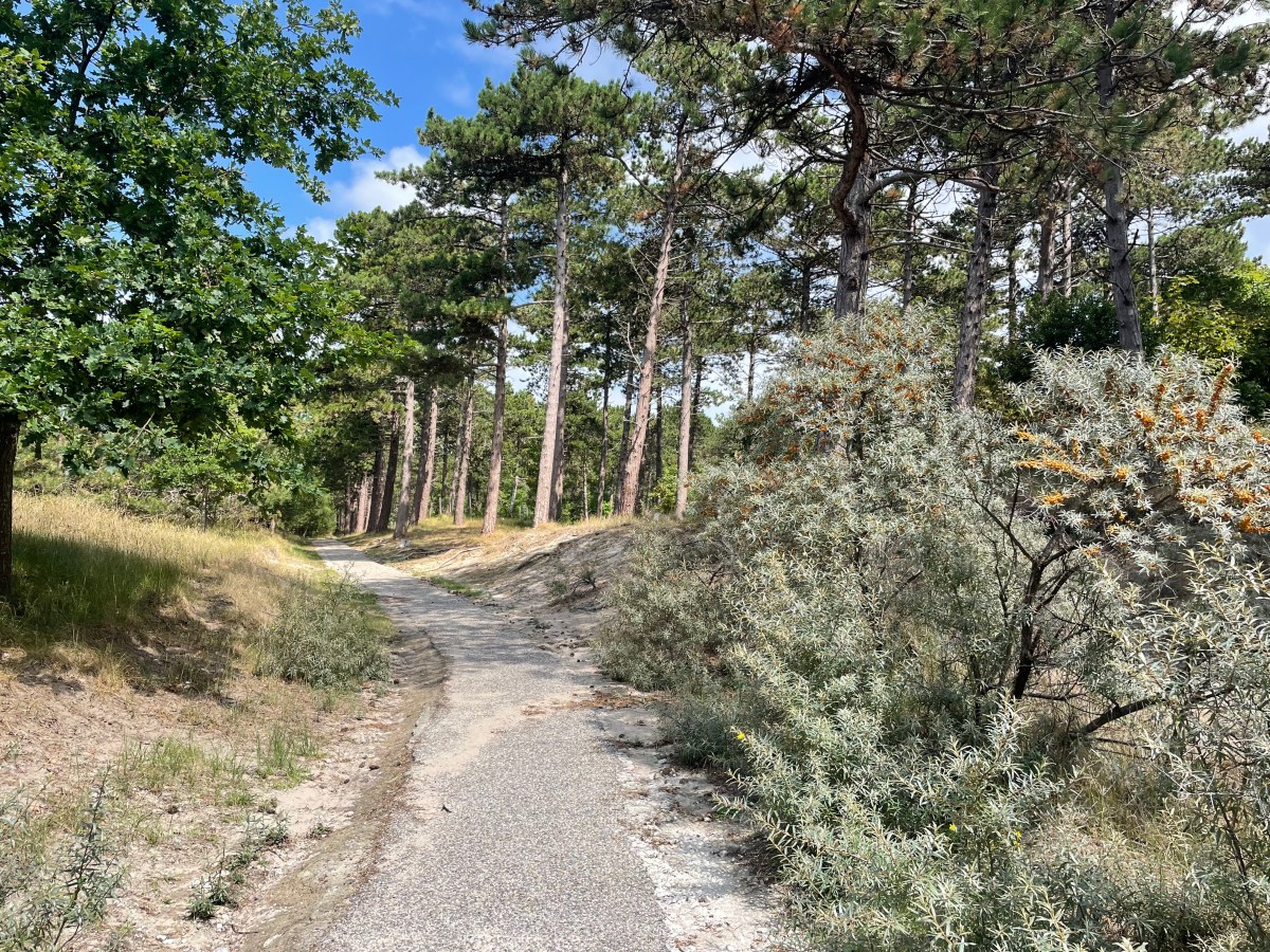 Westenschouwen, Zeeland