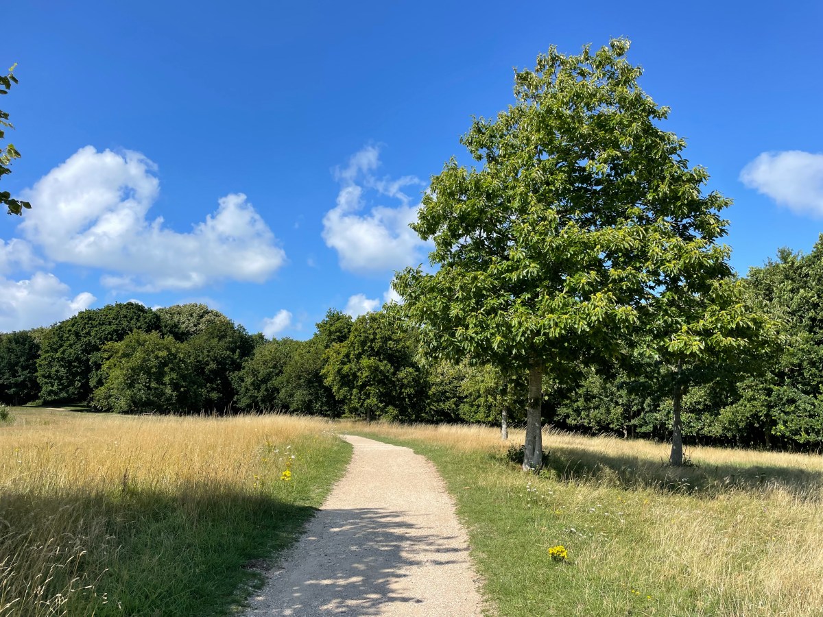 Manteling van Walcheren and Berkenbosch Beach,&nbsp;Zeeland