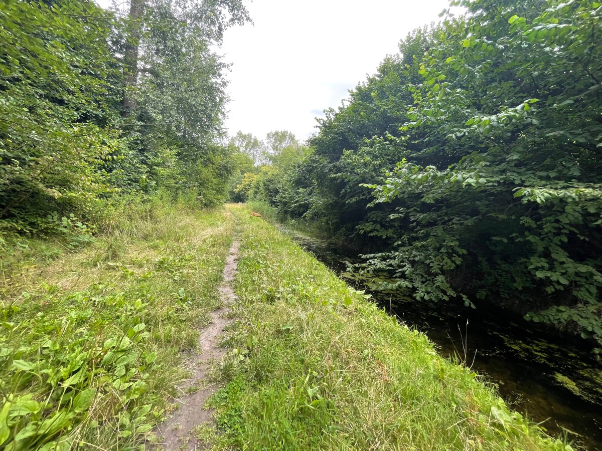 Waarderhout, Heerhugowaard