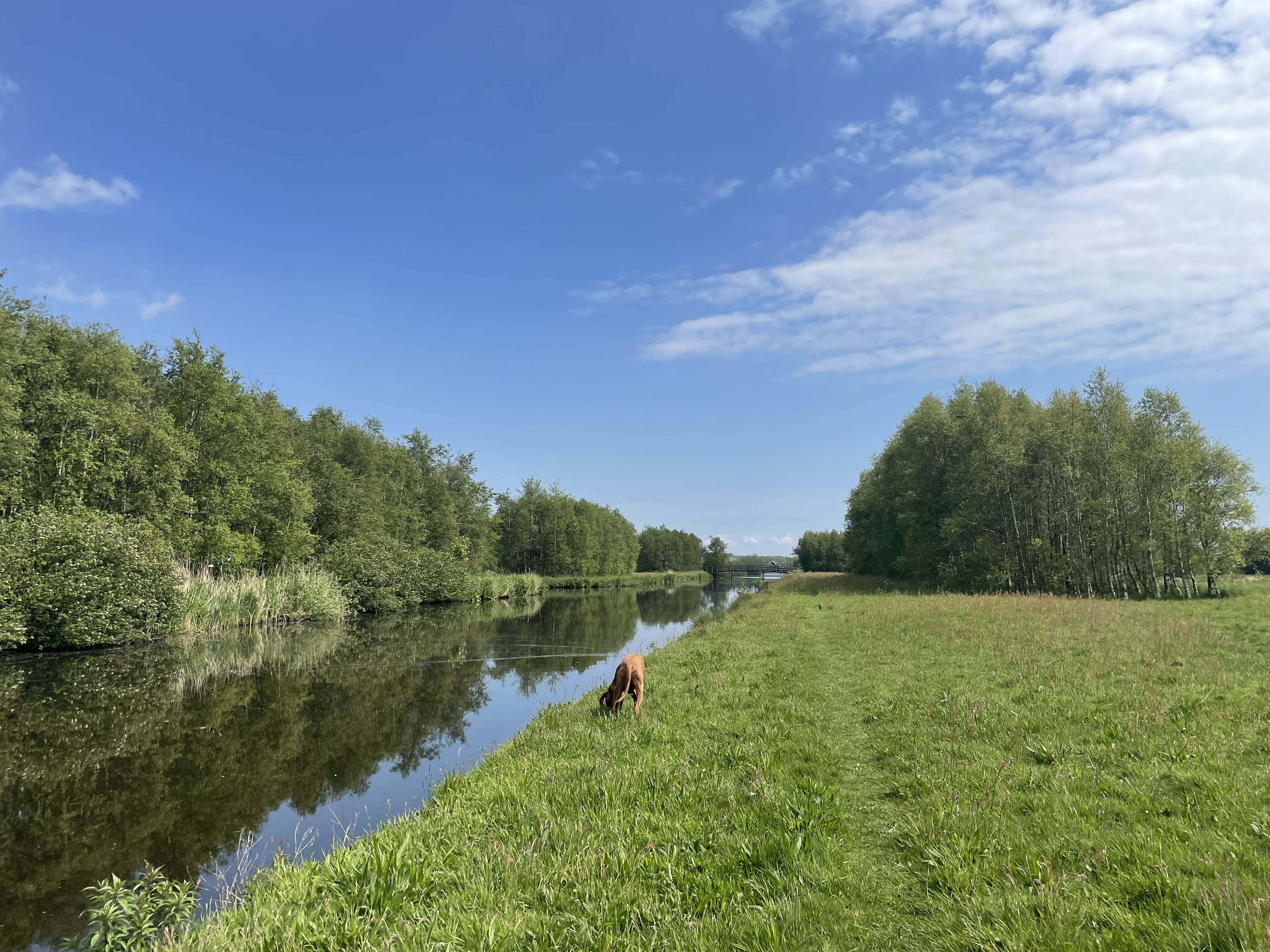 Groengebied Purmerland