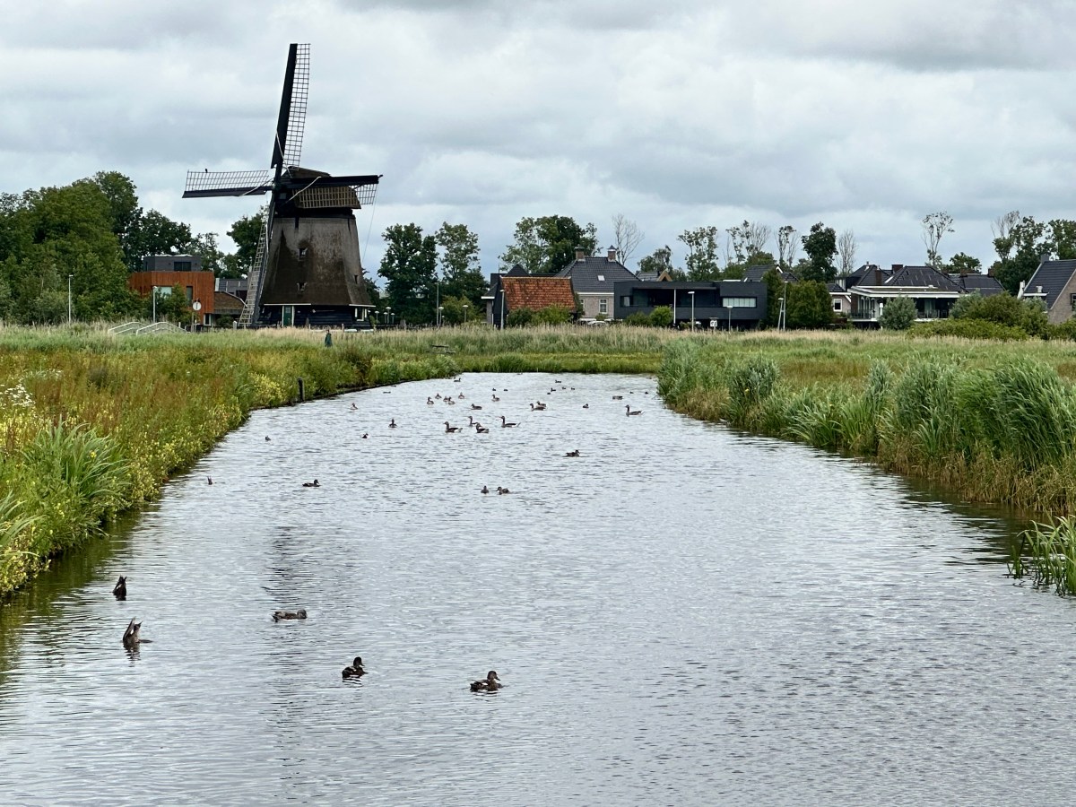 Oudorperhout, Alkmaar