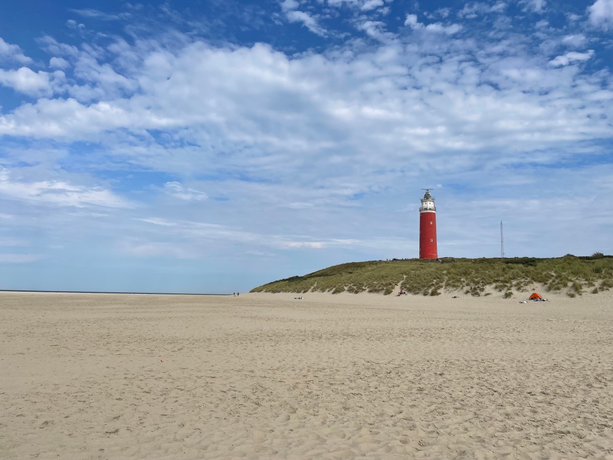 Texel