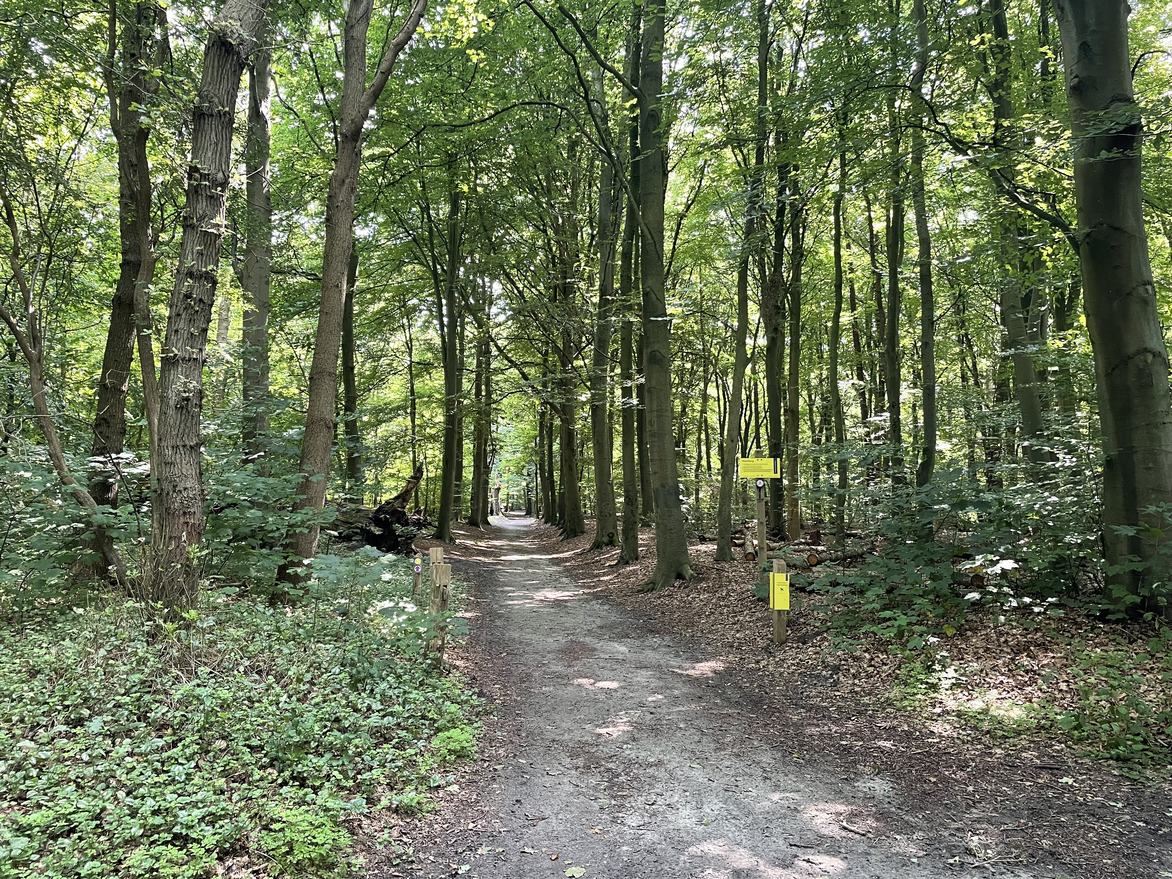 Heilooërbos, Heiloo