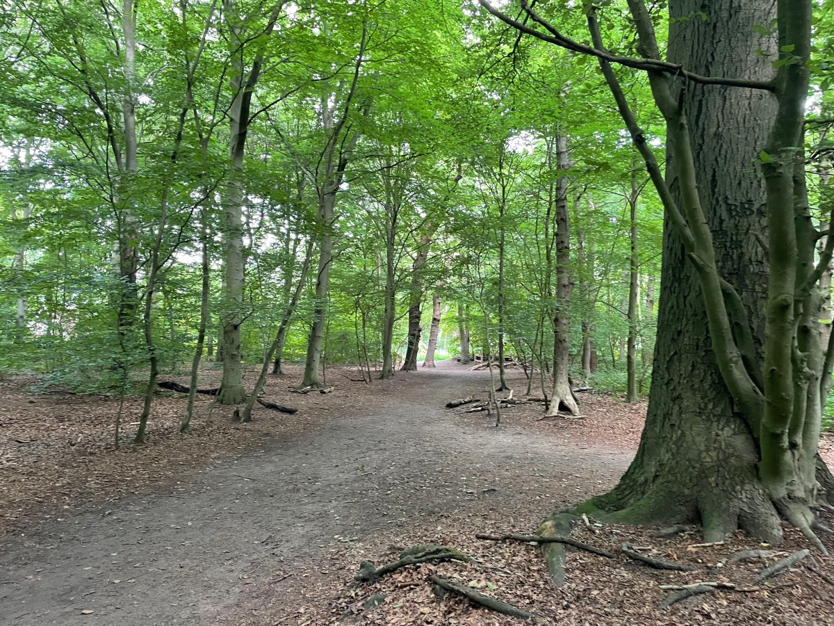 Heilooërbos, Heiloo