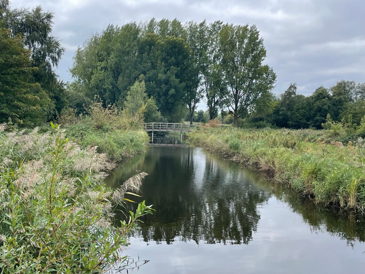 Het Twiske, Oostzaan