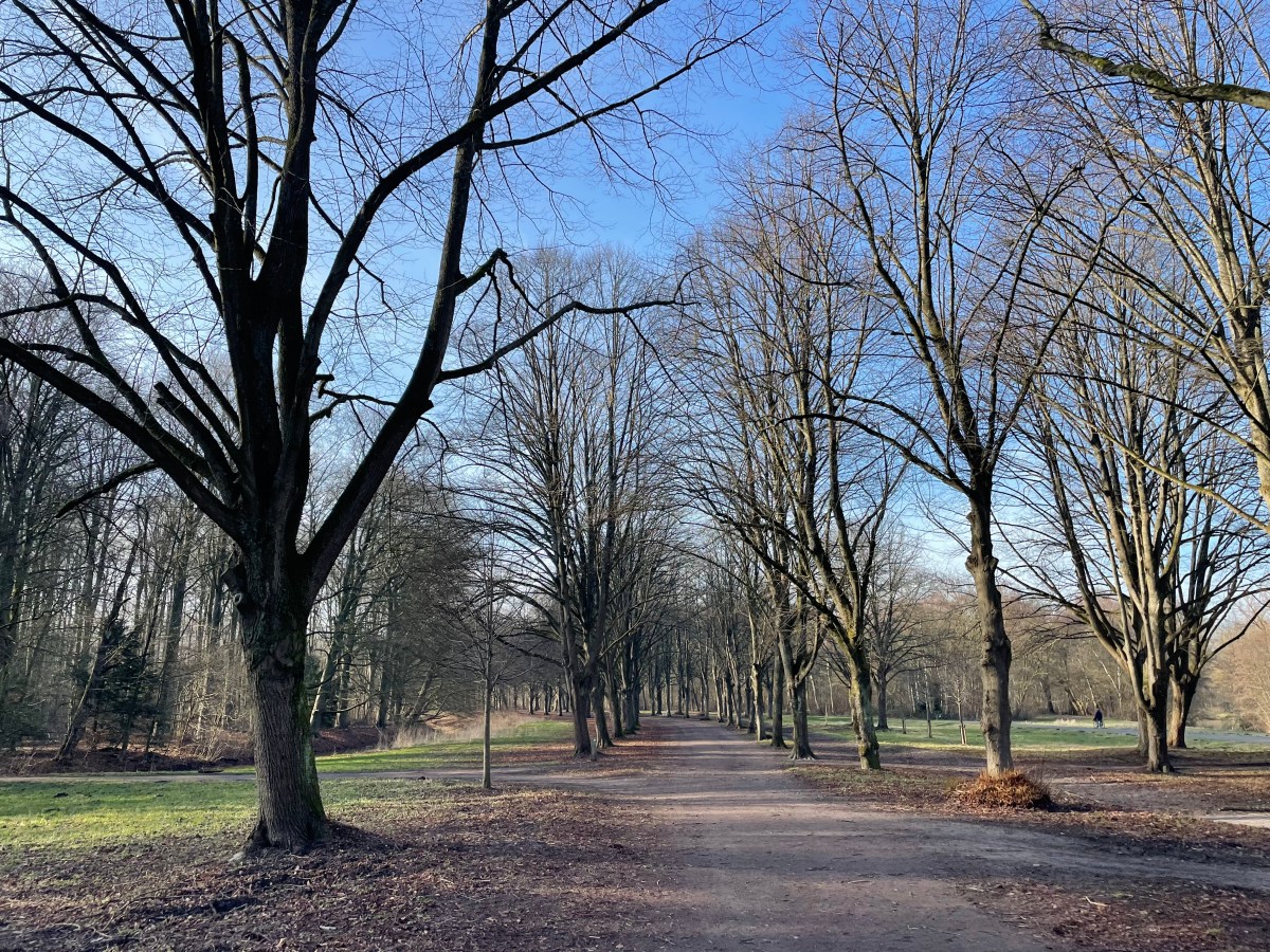 Amsterdamse Bos, Amstelveen
