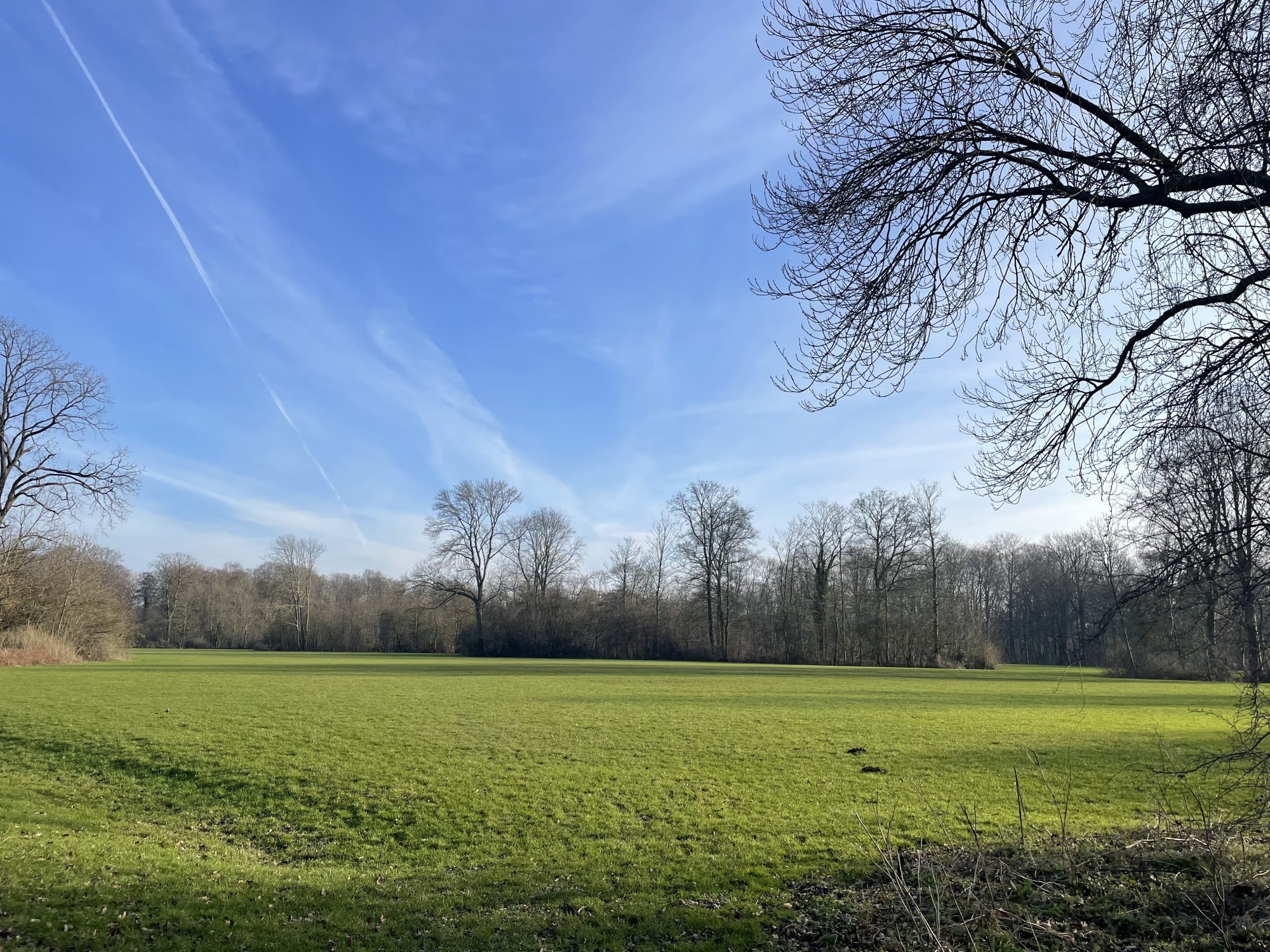 Amsterdamse Bos, Amstelveen