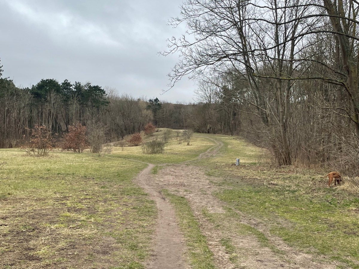 Egmond aan den&nbsp;Hoef